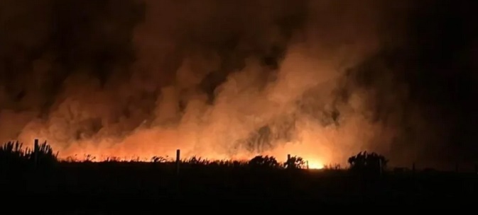 INCENDIOS FORESTALES EN MAR DEL PLATA ARRASARON M&Aacute;S DE 200 HECT&Aacute;REAS