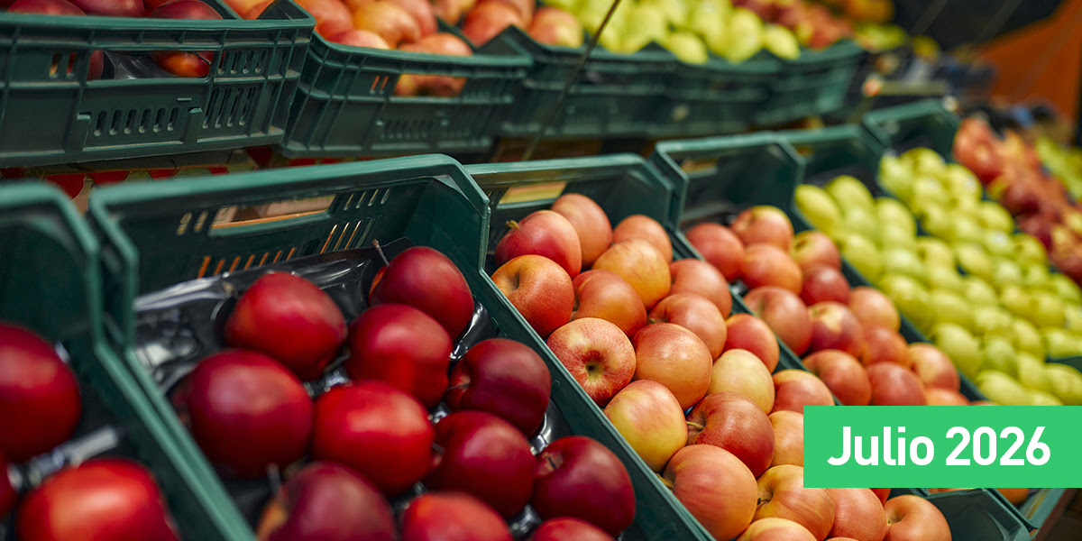 EVOLUCI&Oacute;N DE PRECIOS DE HORTALIZAS Y FRUTAS EN EL MERCADO CENTRAL DE BUENOS AIRES Y EN GRANDES CADENAS DE SUPERMERCADOS: DATOS A JULIO 2026