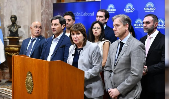 SENADO APROB&Oacute; LA LEY DE REGULARIZACI&Oacute;N Y ENTREGA VOLUNTARIA DE ARMAS HASTA 2027