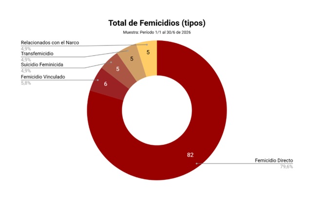CADA 42 HORAS UNA MUJER ES ASESINADA EN ARGENTINA: EL FEMICIDIO, UNA CRISIS ESTRUCTURAL