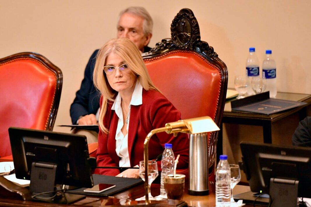 TRAS OCHO MESES DE PAR&Aacute;LISIS, MAGARIO CONVOC&Oacute; A LA PRIMERA SESI&Oacute;N DEL SENADO BONAERENSE