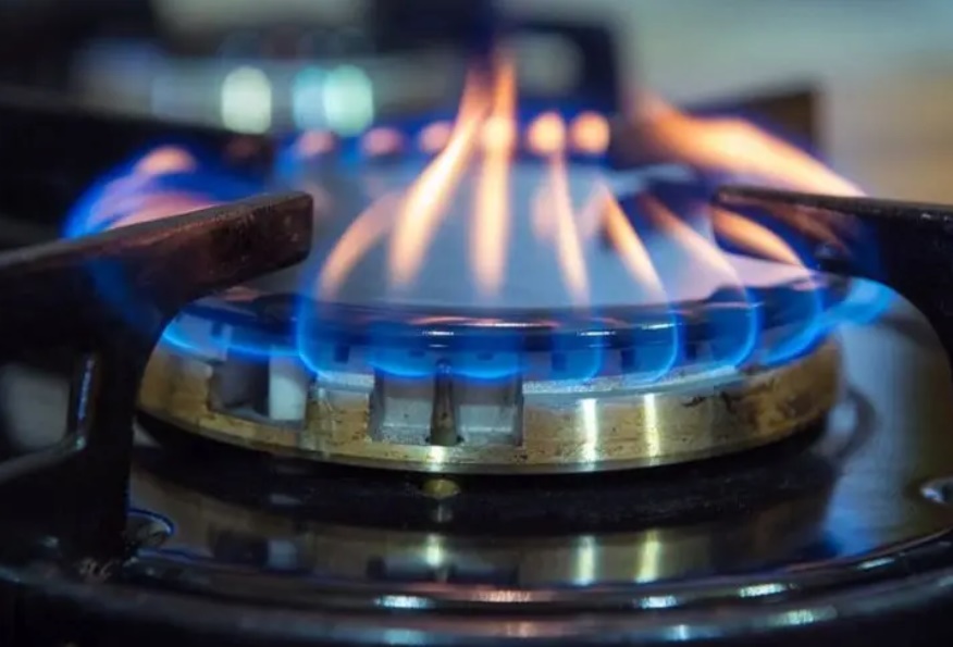 DESDE UP PROPONEN RESTABLECER EL SUBSIDIO DEL 50% AL GAS Y REVERTIR LOS CAMBIOS APROBADOS ESTE A&Ntilde;O