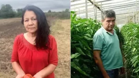 EL 90% DE LOS PRODUCTORES HORT&Iacute;COLAS DE LA PLATA EST&Aacute;N ENDEUDADOS