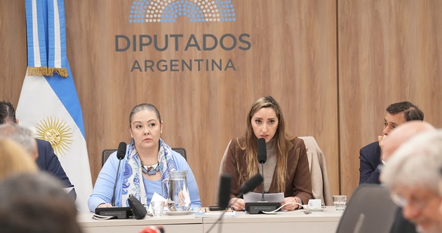 LA CRISIS INDUSTRIAL LLEG&Oacute; AL CONGRESO: TRABAJADORES Y EMPRESARIOS DESCRIBIERON EL DESASTRE DEL MODELO DE APERTURA IMPORTADORA, CIERRES Y DESPIDOS