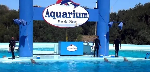 QUEBR&Oacute; EL AQUARIUM DE MAR DEL PLATA