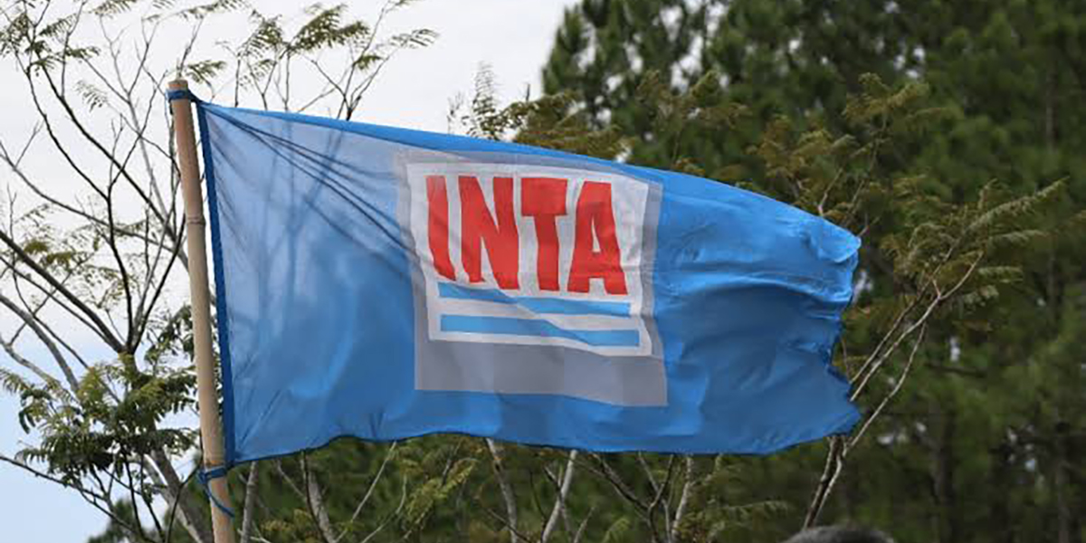 EL DESFINANCIAMIENTO DEL INTA: QU&Eacute; SE PONE EN JAQUE Y QU&Eacute; PODR&Iacute;A PASAR