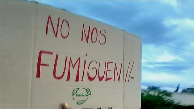 DENUNCIAN AL ESTADO ARGENTINO ANTE LA CIDH POR LA DEMORA EN UNA CAUSA SOBRE TRANSG&Eacute;NICOS