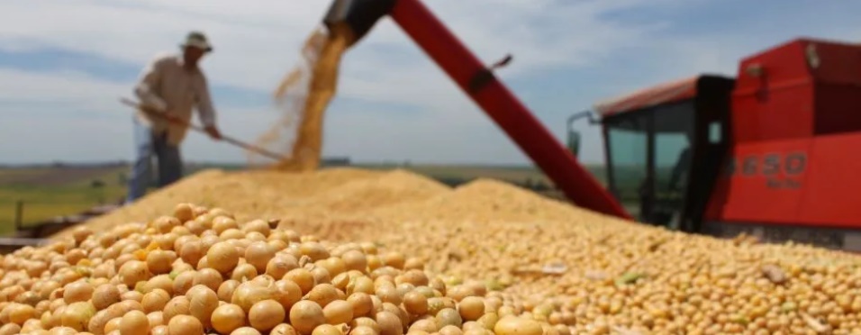 EN FEBRERO LA RECAUDACI&Oacute;N TRIBUTARIA ACELER&Oacute; SU CA&Iacute;DA Y SUFRI&Oacute; UNA CONTRACCI&Oacute;N DE CASI EL 10% REAL