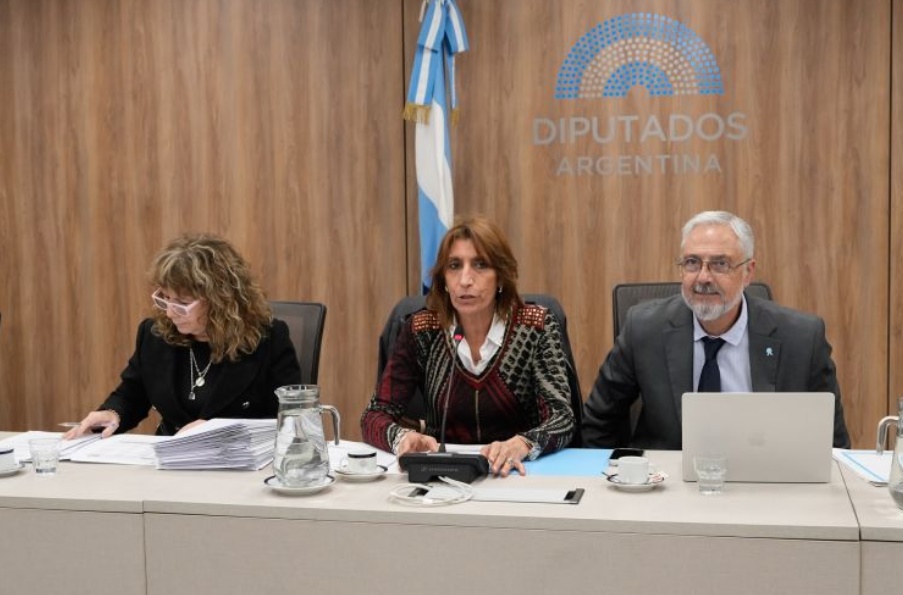 SE APROB&Oacute; INCORPORAR EL REGISTRO DE ELECTRODEPENDIENTES AL CENSO NACIONAL