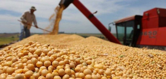 COSECHA RECORD Y LIQUIDACI&Oacute;N DE GRANOS A LA BAJA