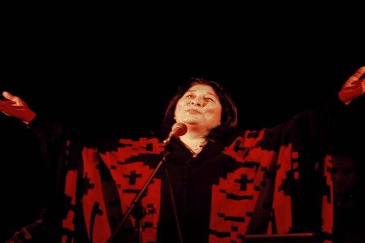 LA FAMILIA DE MERCEDES SOSA Y TRABAJADORES DE LA CULTURA PIDEN LA RENUNCIA DEL FUNCIONARIO QUE LA AGRAVI&Oacute;