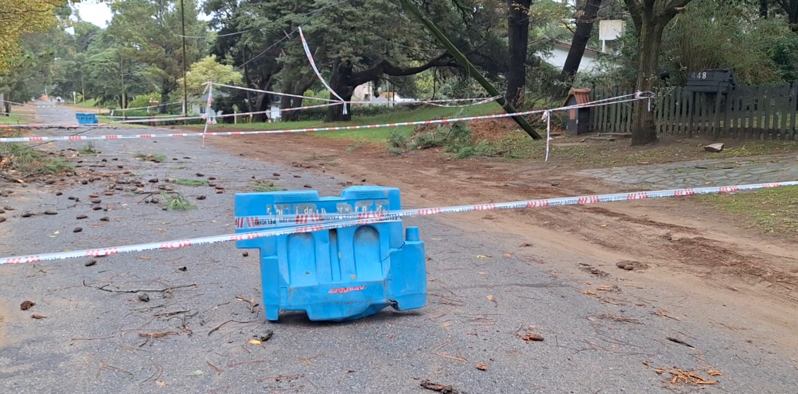 FUERTE TEMPORAL CAUS&Oacute; DA&Ntilde;OS Y CA&Iacute;DA DE &Aacute;RBOLES EN EL PARTIDO DE PINAMAR
